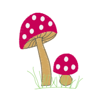 Mushroom Other