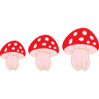 Mushroom Other