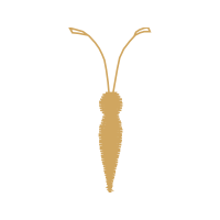 Natural Material Other