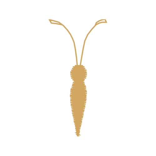 Natural Material Other