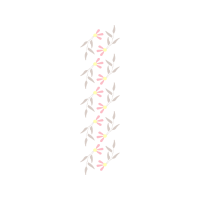 Natural Material Other