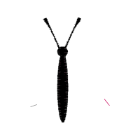 Natural Material Other