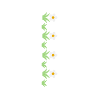 Nile Crocodile Other