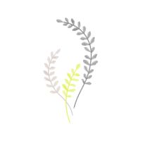 Ostrich Fern Other