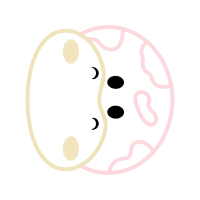 Oval Other Oval Other