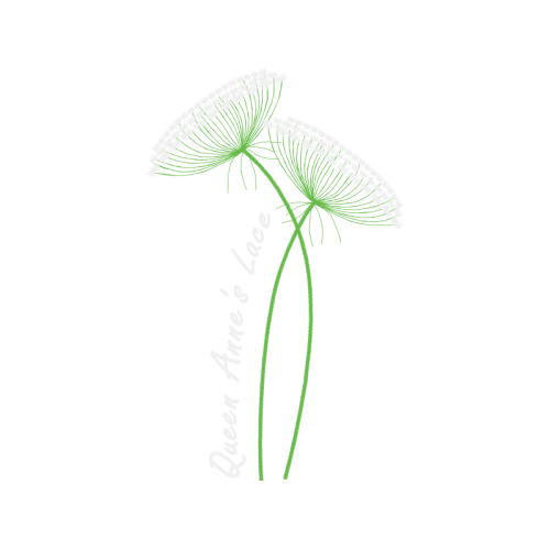 Palms Other Palms Other