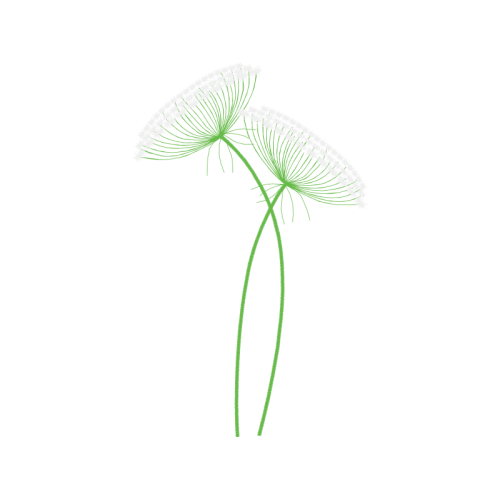 Palms Other Palms Other