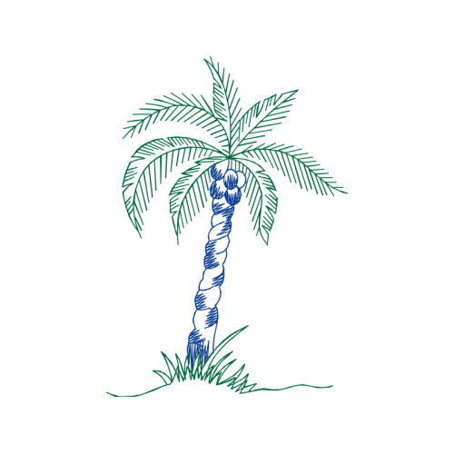 Palms Other Palms Other