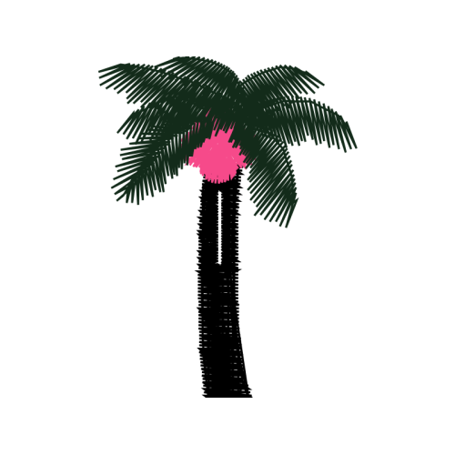 Palms Other Palms Other