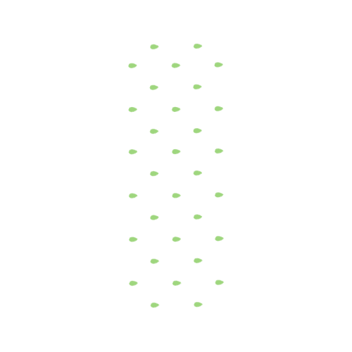 Paper Other Paper Other