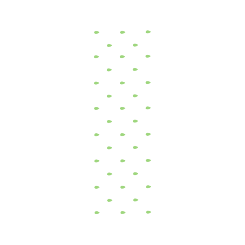 Paper Other Paper Other