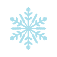 Paper Snowflake Other