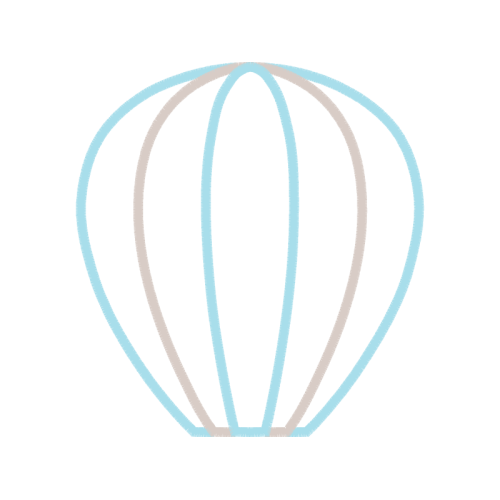 Phonograph Record Other