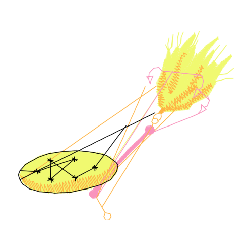 Photography Other Photography Other