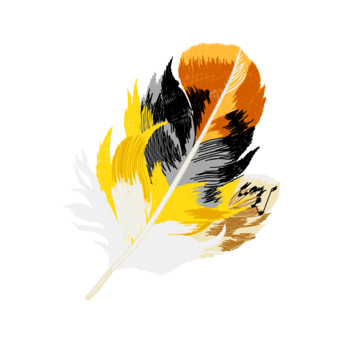 Photography Other Photography Other