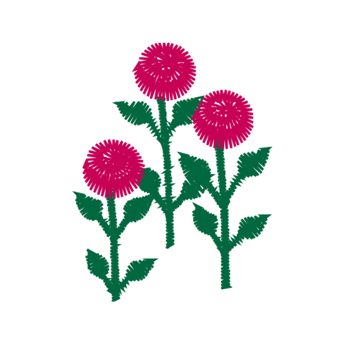 Pink Other Pink Other