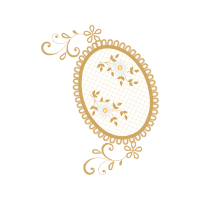 Plate Other Plate Other