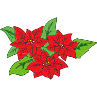 Poinsettia Other Poinsettia Other