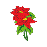 Poinsettia Other Poinsettia Other