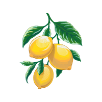 Pomelo Other Pomelo Other