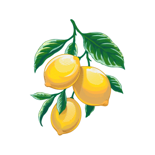 Pomelo Other Pomelo Other