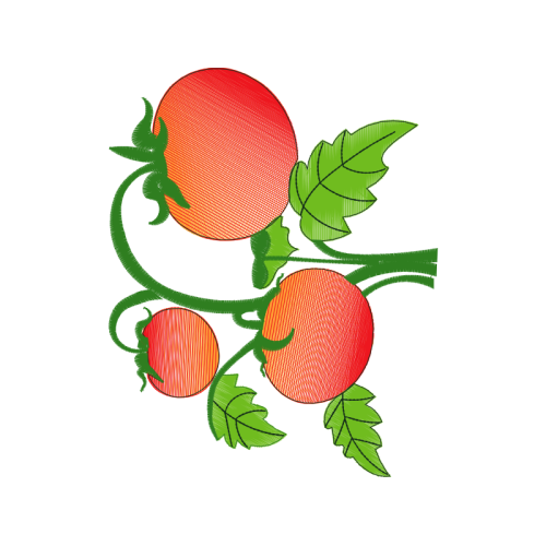 Pomelo Other Pomelo Other