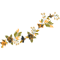 Pond Pine Other Pond Pine Other