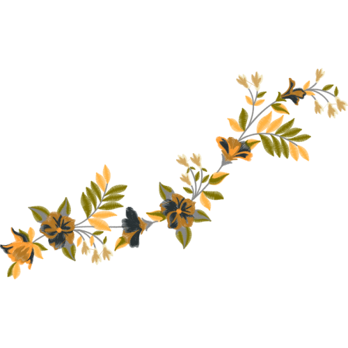 Pond Pine Other Pond Pine Other