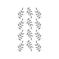 Pond Pine Other Pond Pine Other