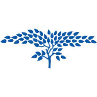 Qhl06066 Other Qhl06066 Other