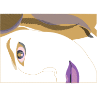 Quilting Other Quilting Other