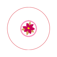 Rangoli Other Rangoli Other