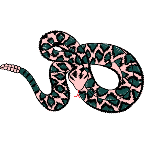 Rattlesnake Other Rattlesnake Other