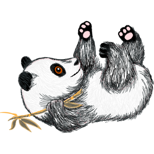 Red Panda Other Red Panda Other