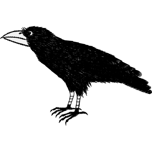 Red Tailed Hawk Other Red Tailed Hawk Other