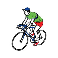 Road Bike Other Road Bike Other