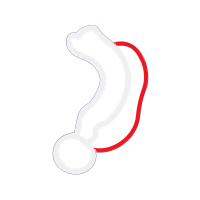 Rope Other Rope Other