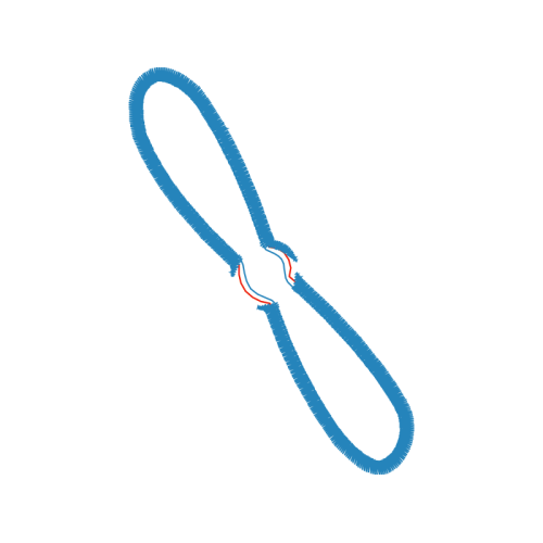 Rope Other Rope Other