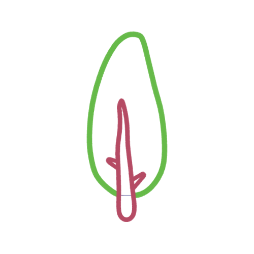 Rope Other Rope Other