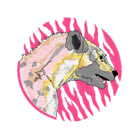 Rough Collie Other Rough Collie Other