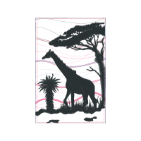 Royal Palms Other Royal Palms Other