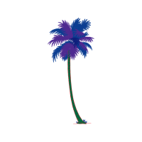 Royal Palms Other Royal Palms Other