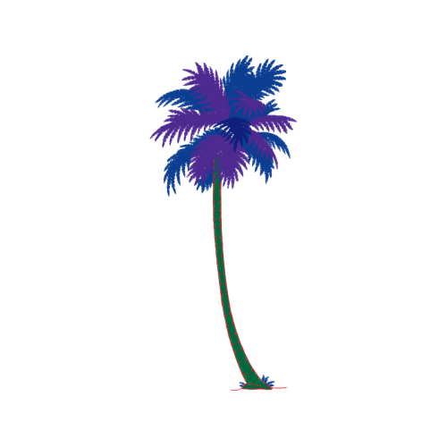 Royal Palms Other Royal Palms Other