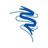 Rudraksha Other Rudraksha Other