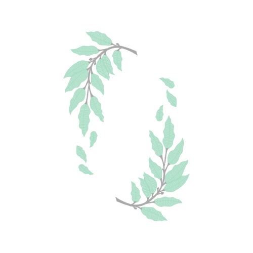 Russian Olive Other Russian Olive Other