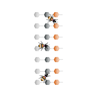 Scallops Other Scallops Other