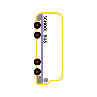 Scar Other Scar Other