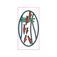 Science Other Science Other