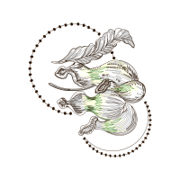 Science Other Science Other