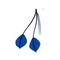 Screw Thread Other Screw Thread Other